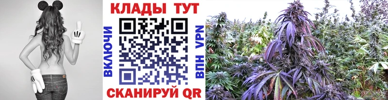 Канабис Приволжск