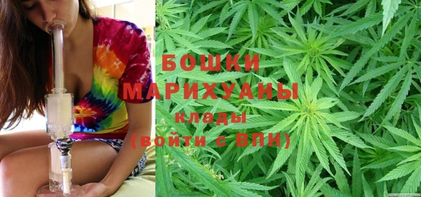 первитин Мегион