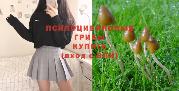 дурь Медвежьегорск